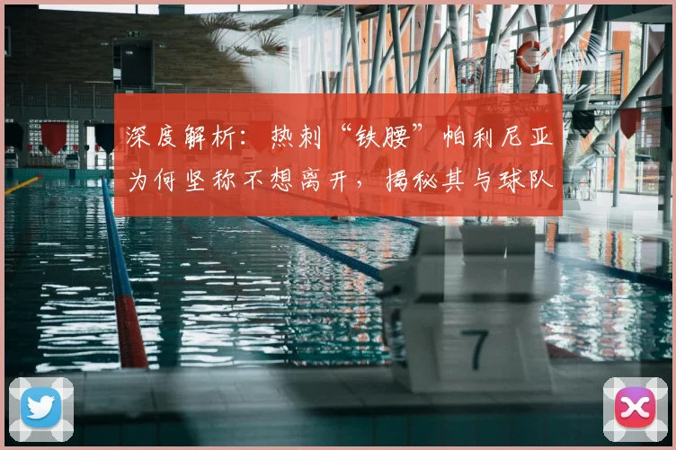 深度解析:热刺“铁腰”帕利尼亚为何坚称不想离开,揭秘其与球队的深厚羁绊