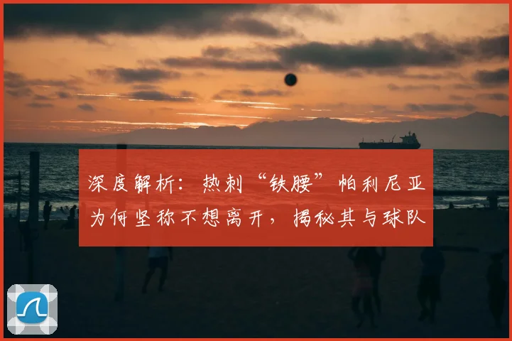 深度解析：热刺“铁腰”帕利尼亚为何坚称不想离开，揭秘其与球队的深厚羁绊